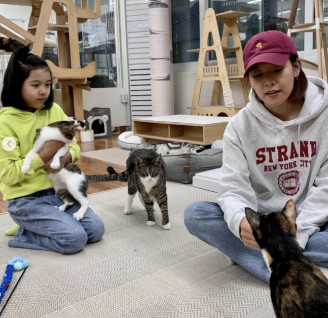 이동건 판박이 조윤희 딸 로아 근황 