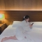 럭키비키 장원영 가운차림에 발노출