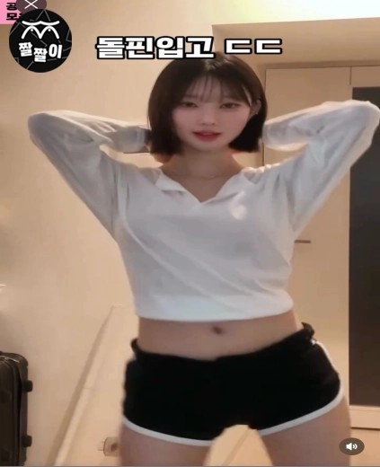 이 조합 찬성일세! 돌핀팬츠에 크롭티