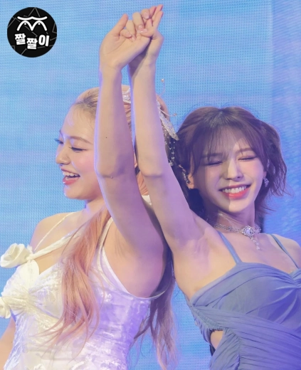 레드벨벳 콘서트 웬디 예리 겨드랑이