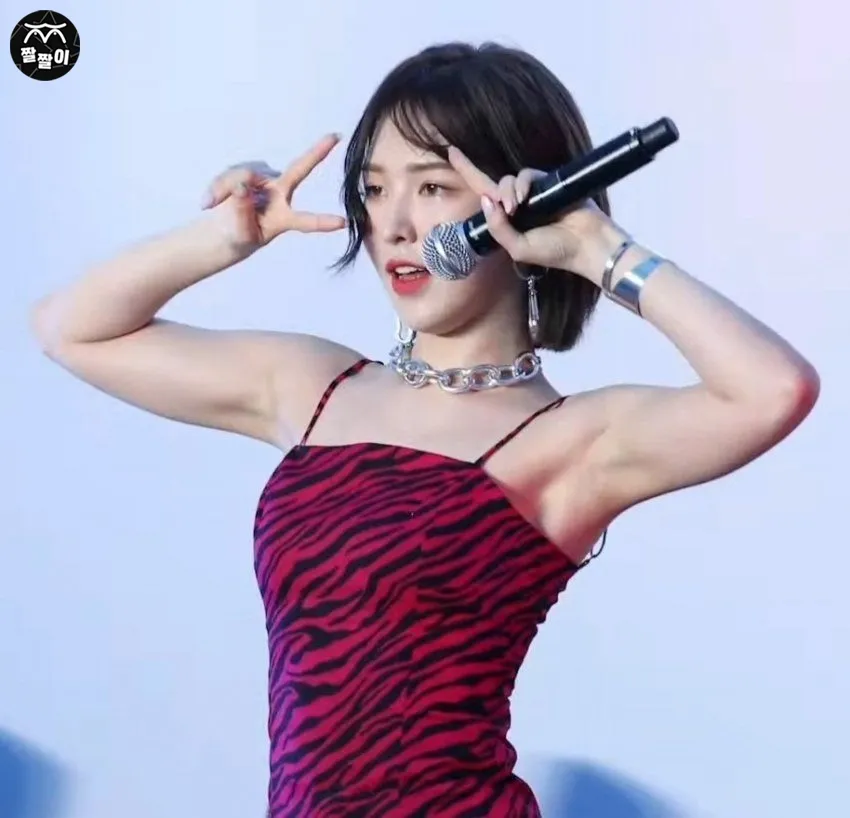아이돌 레드벨벳 웬디 겨드랑이!