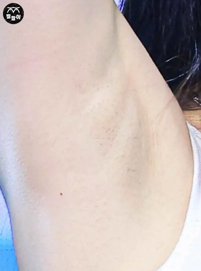 프미나 백지헌 샤프심 겨털