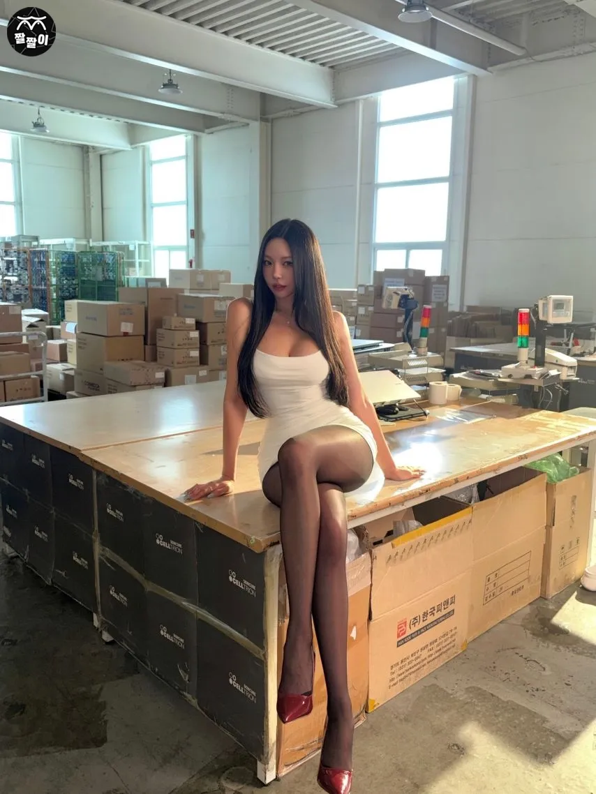 동그란 오피스룩 검스 몸매